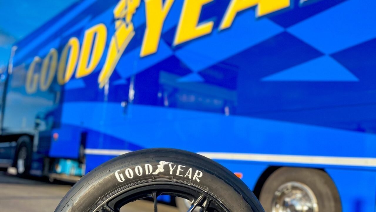 225/55R16 Goodyear EfficientGrip Performance 95W - Imagen 3
